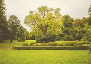 TI GPS Jalost Studios