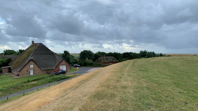 Eine ländliche Landschaft mit zwei reetgedeckten Häusern und einer Wiese. Der Himmel ist bewölkt und es gibt einige Bäume im Hintergrund.