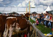 Rendsburg Tourismus und Marketing GmbH