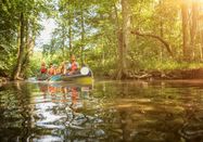 TI GPS Jalost Studios