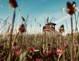 Ein Aussichtsturm steht in einer Wiese mit bunten Blumen. Der Himmel ist klar und blau.