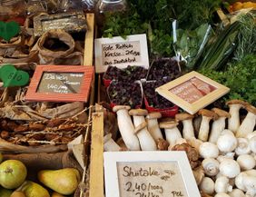 Auswahl von frischem Gemüse auf dem Wochenmarkt