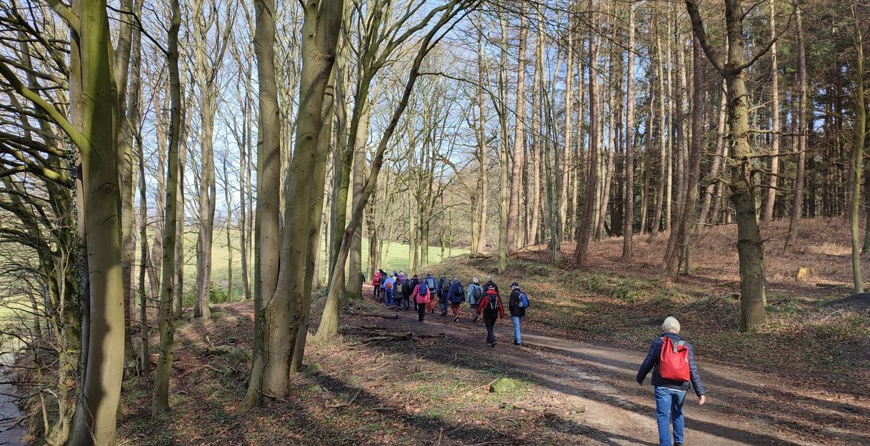 Wandern im Naturpark Westensee