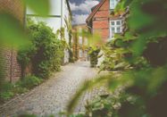 TI GPS Jalost Studios