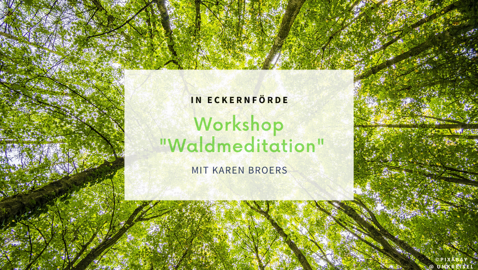 Baumkronen und Blätterdach, von unten in den Himmel fotografiert, helles Licht.