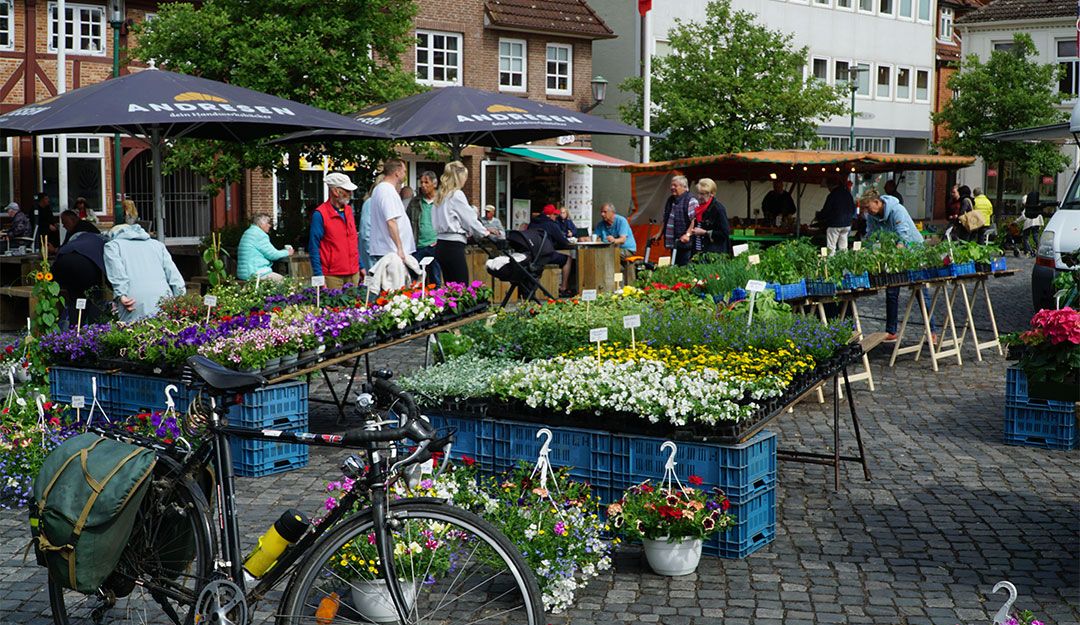 Frische Blumen auf dem Schiffbrückenplatz