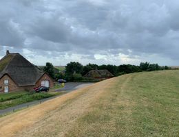 Eine ländliche Landschaft mit zwei reetgedeckten Häusern und einer Wiese. Der Himmel ist bewölkt und es gibt einige Bäume im Hintergrund.