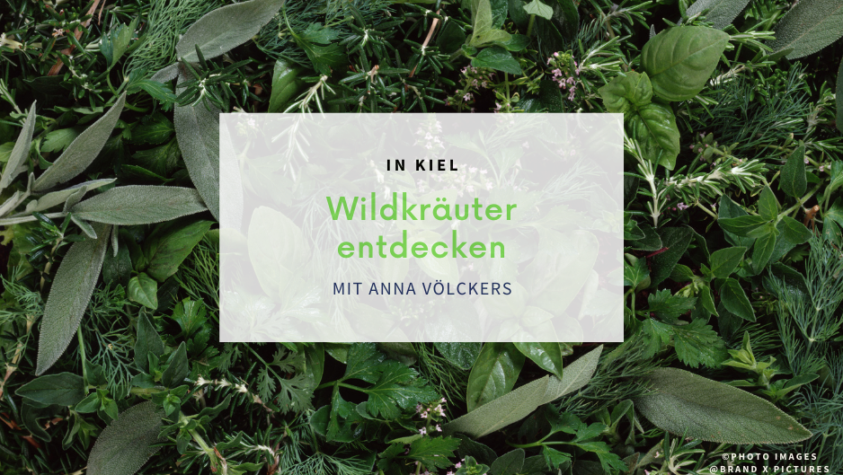 Dicht angeordnete grüne Kräuter.