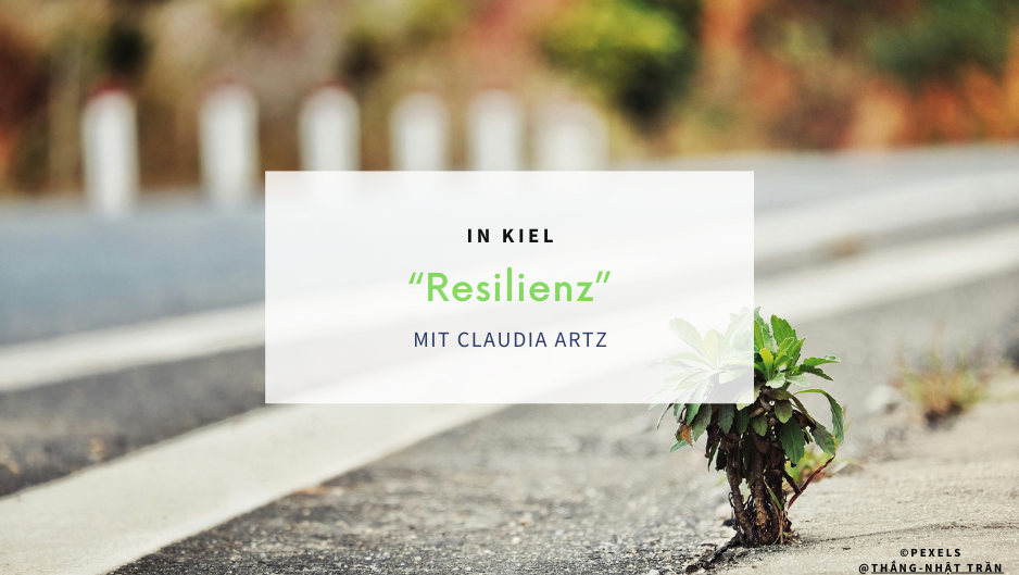 Eine einzelne grüne Pflanze sprießt aus einem Spalt im Asphalt.