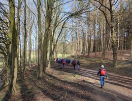 Wir wandern im Naturpark Westensee